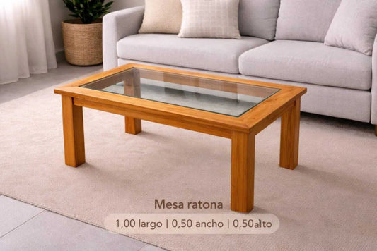 Mesa Ratona Con Vidrio 100x50x50