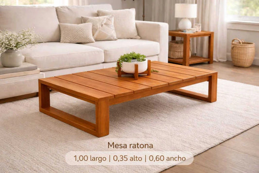 Mesa Ratona 100x35x60