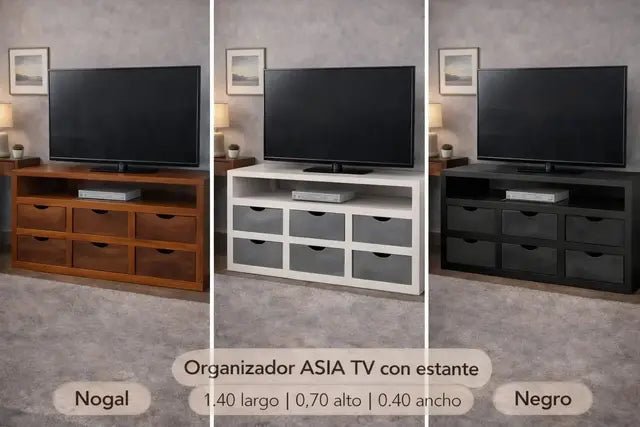 Organizador Asia TV con Estante